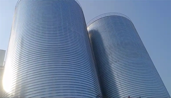 金寨2座混凝土高架卷板仓